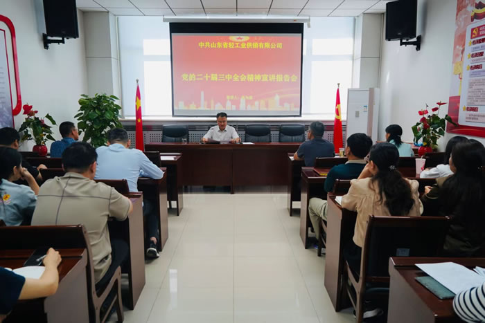 輕工供銷召開黨的二十屆三中全會精
